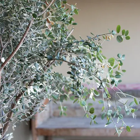 La Florentine Hotel 3*