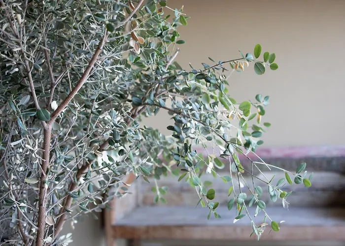 La Florentine Hotel 3*